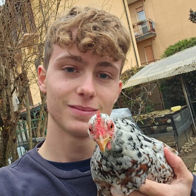 Alberto